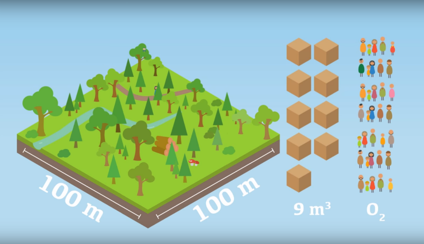 Moser Energie Umwelt Alpbach Tirol